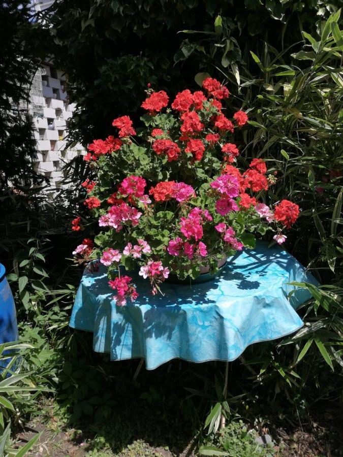 Ferienwohnung Roth Am Naturschutzgebiet Bodensee Eriskircher Ried Luaran gambar